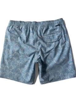 Greenhouse 17.5" Ecolastic